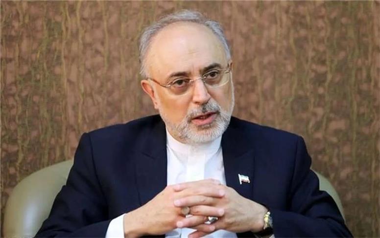صالحی: توافق ایران و آژانس فی‌نفسه مثبت و رو به جلو است