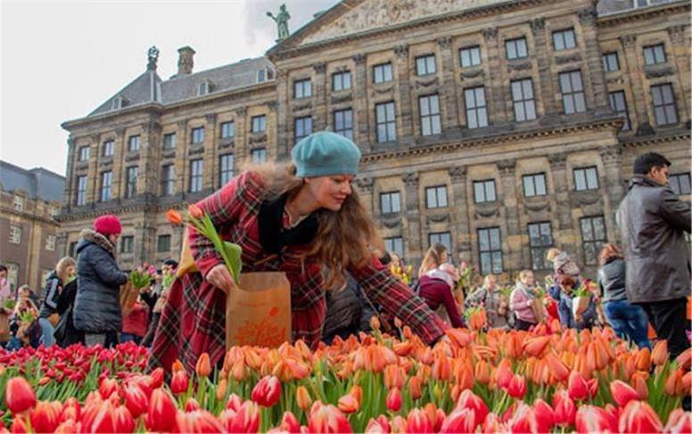 راز شادی هلندی‌ها