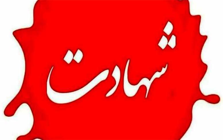 معاون فرمانده بسیج به شهادت رسید