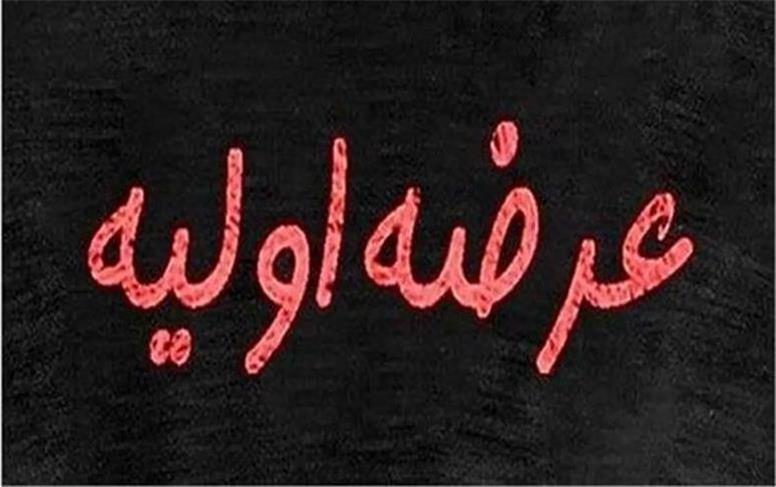 آغاز عرضه اولیه رپویا سه‌شنبه ۱۳ خرداد ۱۴۰۴ + جزئیات
