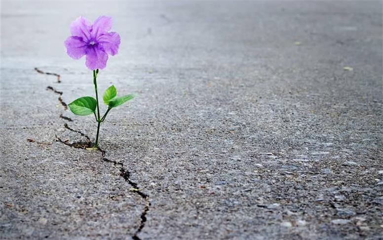 تأثیر جنگ بر امید به زندگی