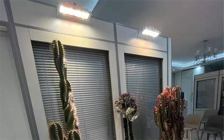 با لامپ رشد گیاه خورشید را به خانه بیاورید
