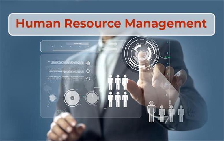 راهنمای جامع مدیریت منابع انسانی؛ از تعریف تا استراتژی‌های نوین