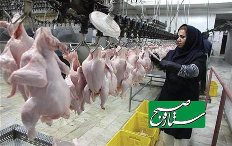 قیمت جدید مرغ امروز دوشنبه ۲۸ مهر ۱۴۰۴