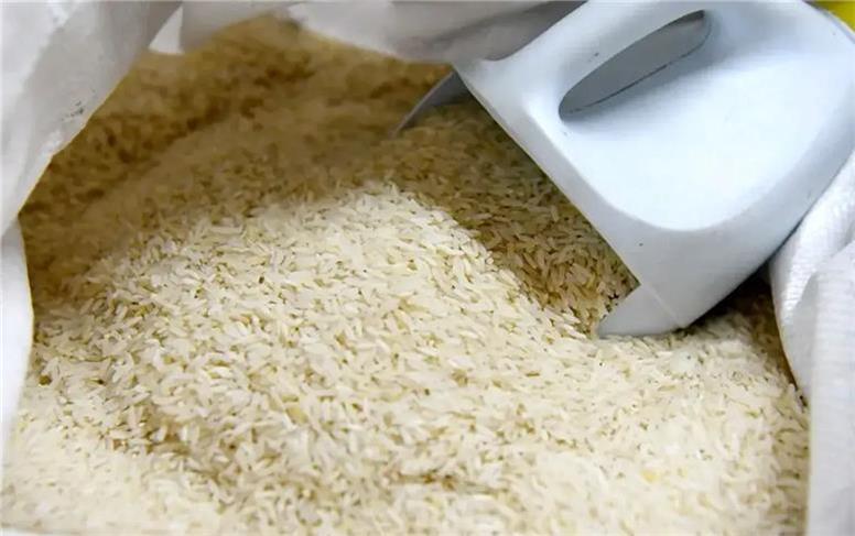 قیمت جدید انواع برنج ایرانی و خارجی امروز دوشنبه ۱۹ آبان ۱۴۰۴