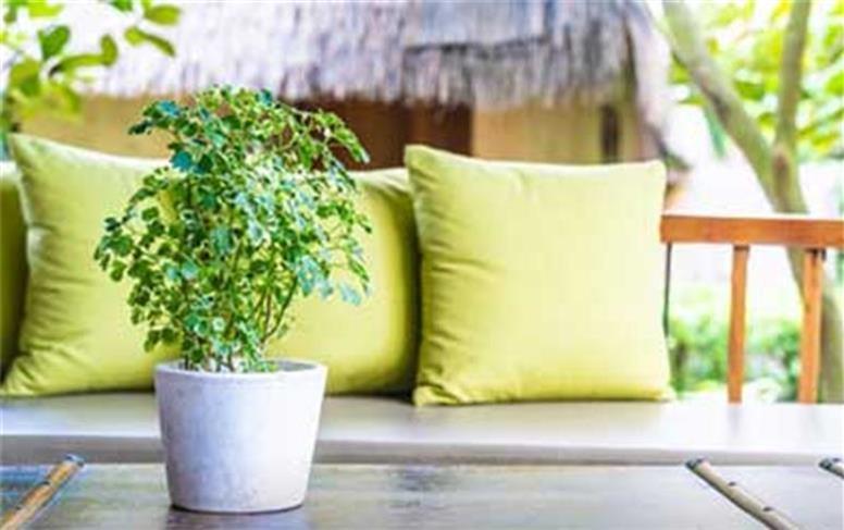 پاکسازی خانه برای ورود انرژی تازه