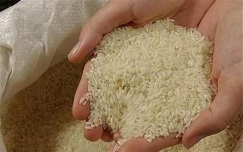 قیمت جدید برنج امروز دوشنبه ۲۶ آبان ماه ۱۴۰۴