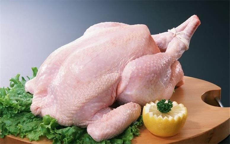 قیمت جدید مرغ امروز دوشنبه ۲۶ آبان ۱۴۰۴