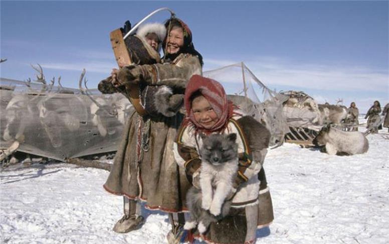 شگفتی های زندگی در قطب جنوب