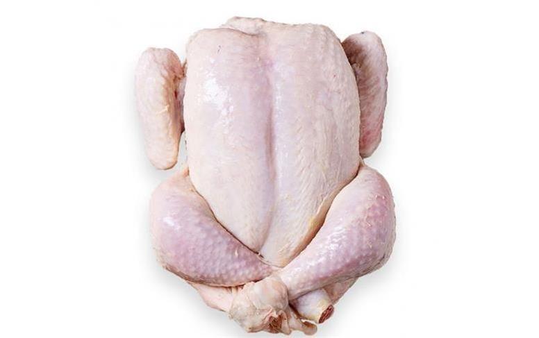 قیمت جدید گوشت مرغ امروز چهارشنبه ۲۸ آبان ۱۴۰۴؛ مرغ پرواز کرد