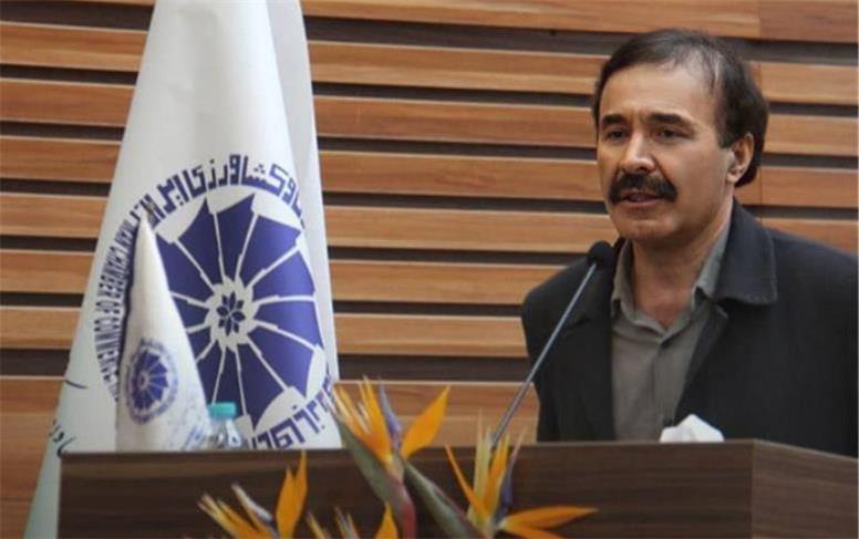 تأثیر کمبود تولید مرغ بر سفره‌ مردم/  قیمت لوبیا دو برابر قیمت مرغ شده است