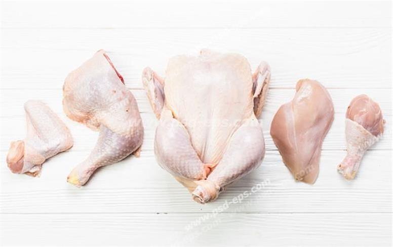 قیمت مرغ امروز یکشنبه ۹ آذر ۱۴۰۴؛ هر کیلو مرغ چند؟