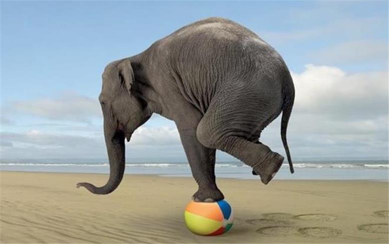 راهی طبیعی برای توازن بدن و ذهن