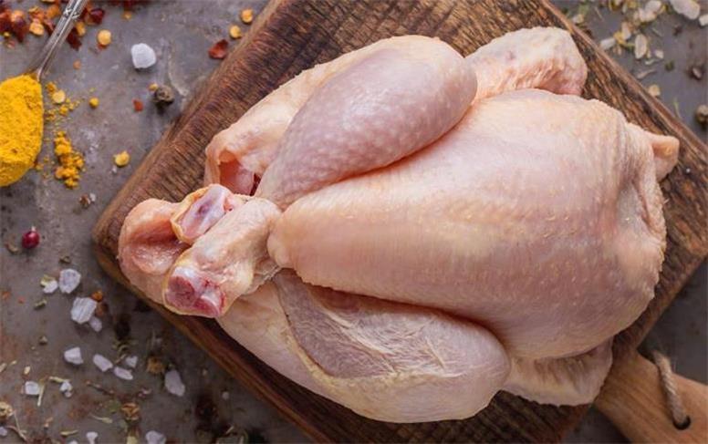 قیمت جدید مرغ امروز شنبه ۱۵ آذر ۱۴۰۴؛ پرواز مرغ!