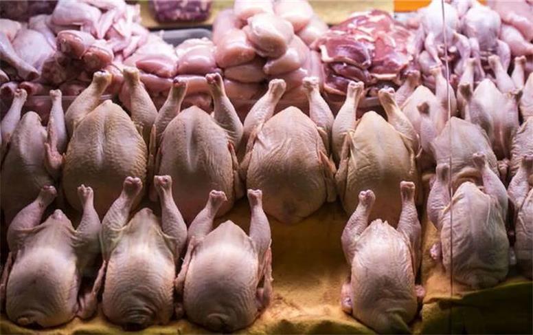 آخرین قیمت مرغ امروز دوشنبه ۱۷ آذر ۱۴۰۴ در بازار