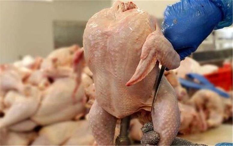قیمت جدید انواع گوشت مرغ امروز سه‌شنبه ۱۸ آذر ۱۴۰۴