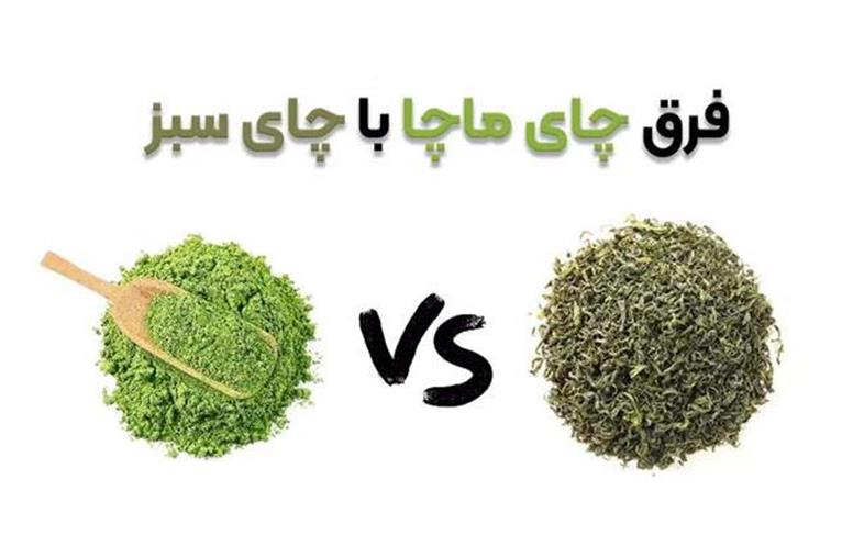 تفاوت‌های اصلی چای ماچا و چای سبز؛ کدام مفیدتر است؟