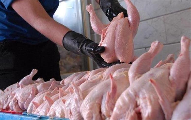 قیمت گوشت مرغ ظهر سه‌شنبه ۴ آذر ۱۴۰۴؛ عمده و خرده فروشی