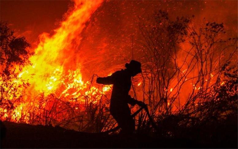 آلاینده در جان ؛ آتش در جنگل‌