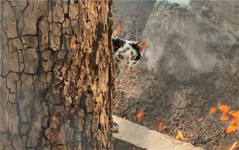 تجربه جنگ در خیابان های تهران