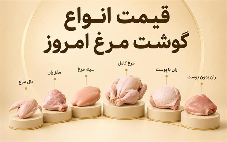 قیمت انواع گوشت مرغ امروز دوشنبه ۹ شهریور ۱۴۰۵؛ فیله و سینه مرغ چند شد؟