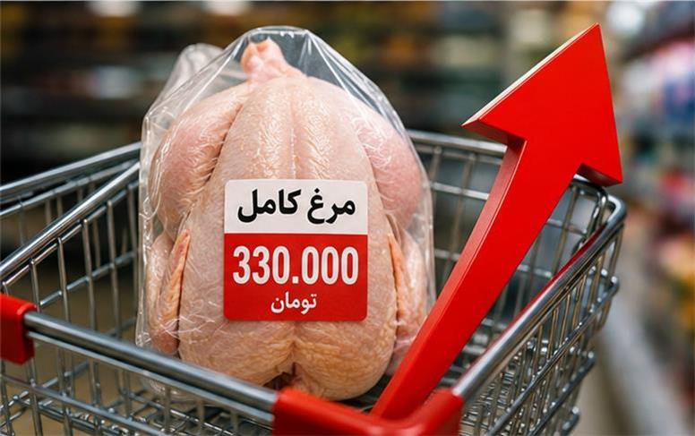 قیمت جدید انواع گوشت مرغ امروز ‌شنبه 17 مرداد 1405+ جدول قیمت