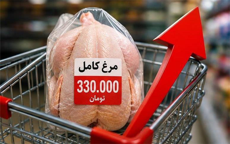 قیمت جدید انواع گوشت مرغ امروز ‌یکشنبه 18 مرداد ۱۴۰۵؛ فیله 680 هزار تومان!