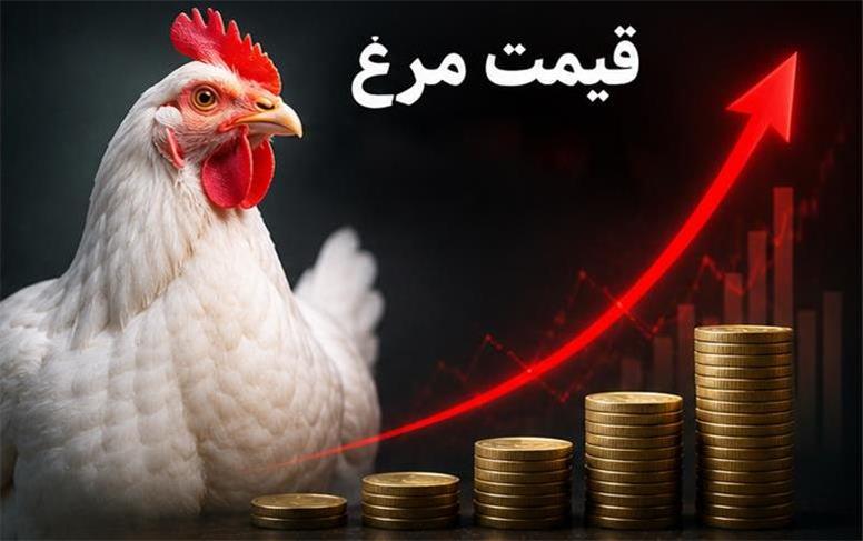 قیمت به روز مرغ و تخم‌مرغ امروز دوشنبه ۱۹ مرداد ۱۴۰۵؛ تخم مرغ شانه ای چند؟