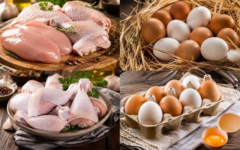 قیمت جدید گوشت مرغ و تخم مرغ امروز ‌شنبه 24 مرداد ۱۴۰۵؛ فیله 720 هزار تومان!