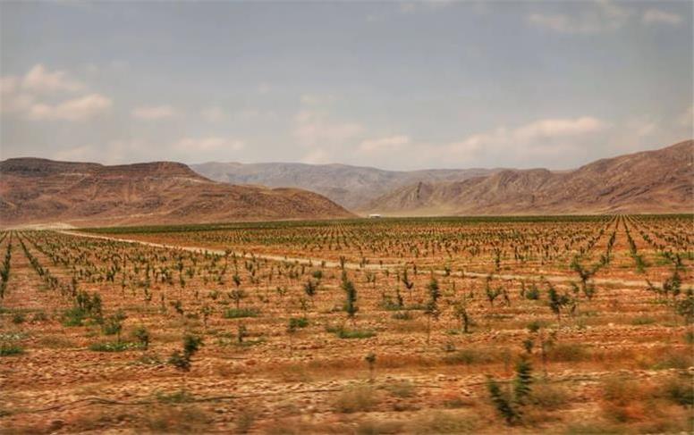 زیدون؛ جایی که باغ می‌تواند به مقصد تبدیل شود