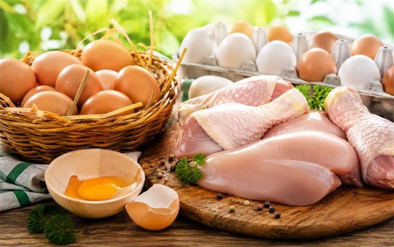 قیمت جدید مرغ و تخم‌مرغ امروز چهارشنبه ۲۸ مرداد ۱۴۰۵؛ تخم مرغ دانه‌ای 20 هزار تومان!