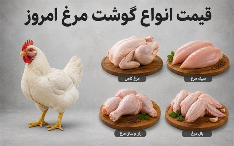 قیمت انواع گوشت مرغ امروز چهارشنبه 7 مرداد 1405؛ مرغ کیلویی 320 هزار تومان