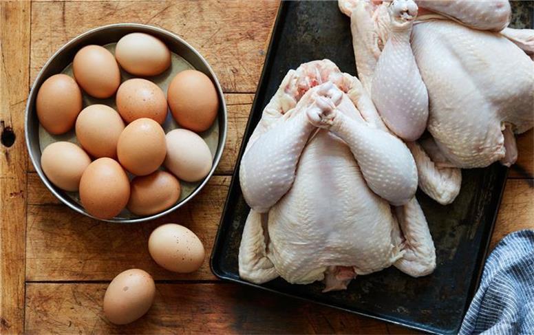 قیمت مرغ و تخم مرغ امروز چهارشنبه ۱۱ شهریور ۱۴۰۵
