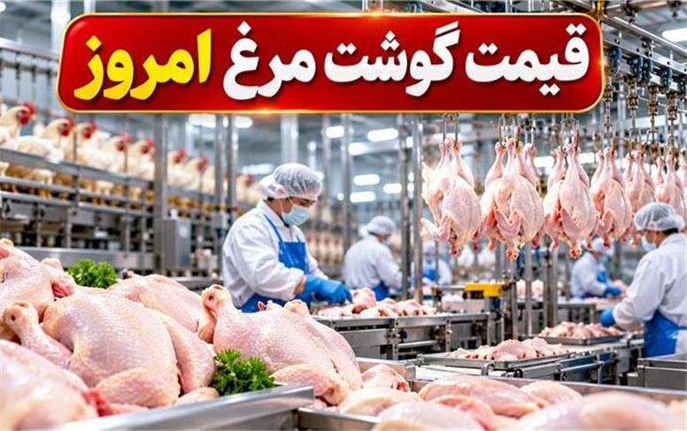 قیمت انواع گوشت مرغ امروز یکشنبه ۱۲ مهر ۱۴۰۵؛ مرغ ارزان شد؟