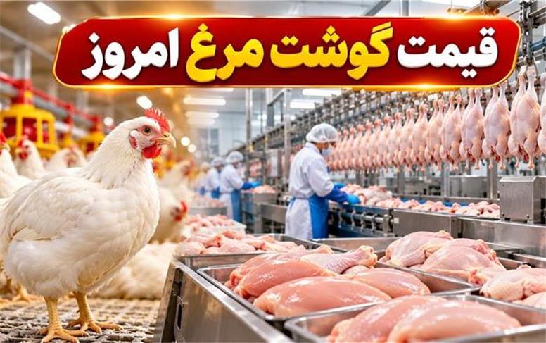 قیمت مرغ امروز دوشنبه ۱۳ مهر ۱۴۰۵؛ فیله و ران مرغ چند؟