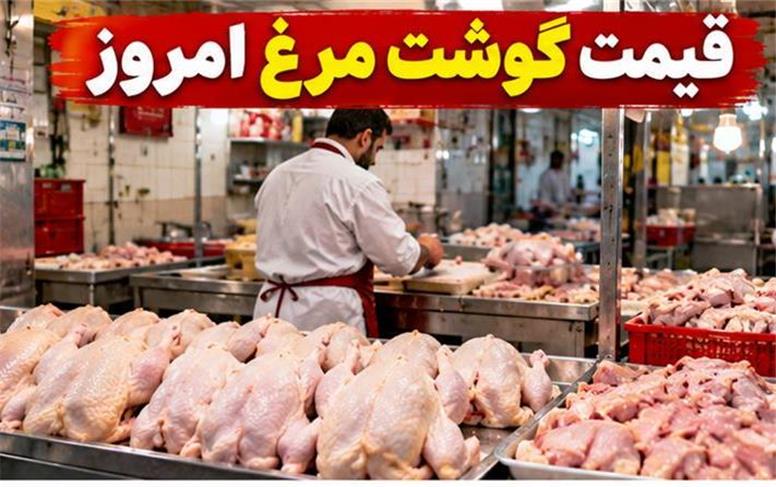قیمت مرغ امروز شنبه ۱۸ مهر ۱۴۰۵؛ مرغ در محدوده ۲۵۰ هزار تومان
