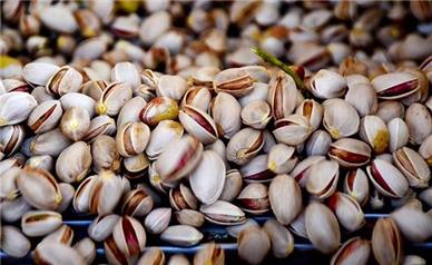 افزایش صادرات پسته ایران به اروپا از ابتدای ۲۰۲۴