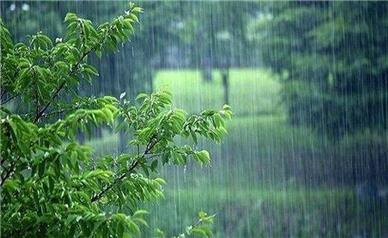 باران و رگبار در این مناطق کشور می بارد