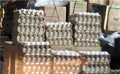 قیمت تخم مرغ دانه‌ای ۱۴ هزار تومان می شود؟