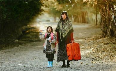 راز پرندگان