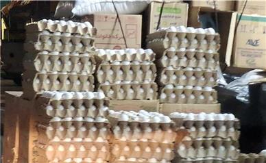 قیمت جدید تخم مرغ امروز ۲۰ بهمن/ تخم مرغ شانه‌ای چند؟