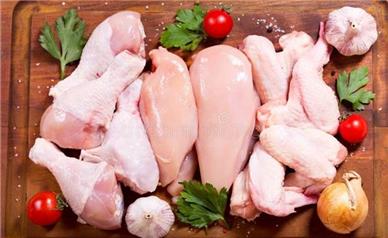 قیمت جدید مرغ امروز دوشنبه ۲۰ بهمن ۱۴۰۴؛ مرغ کیلویی چند؟