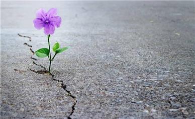 تأثیر جنگ بر امید به زندگی