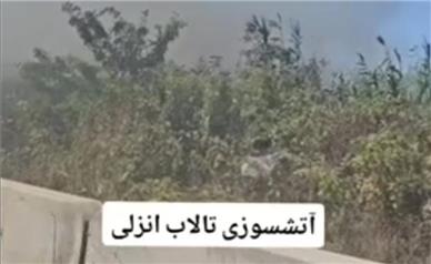 آتش سوزی گسترده در تالاب انزلی+ فیلم