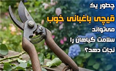 چطور یک قیچی باغبانی خوب، می‌تواند سلامت گیاهان را نجات دهد؟