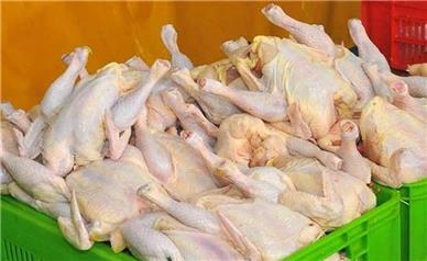 قیمت گوشت مرغ امروز چهارشنبه ۱۴ آبان ۱۴۰۴