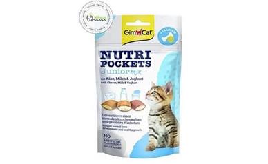 چگونه با غذای تشویقی سگ و گربه، حیوانات خانگی خود را برای سفر آماده کنیم؟