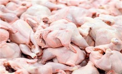 قیمت جدید مرغ امروز سه‌شنبه ۲۰ آبان ۱۴۰۴