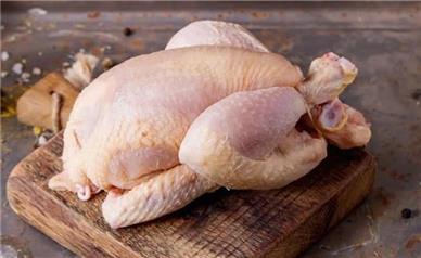 قیمت جدید گوشت مرغ امروز سه‌شنبه ۲۷ آبان؛ مرغ پرواز کرد!