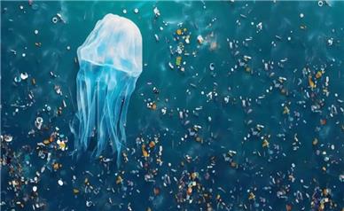 هشدار درباره میکروپلاستیک و کلر باقی‌مانده؛ تصفیه خانگی چه چیزی را همین حالا حذف می‌کند؟